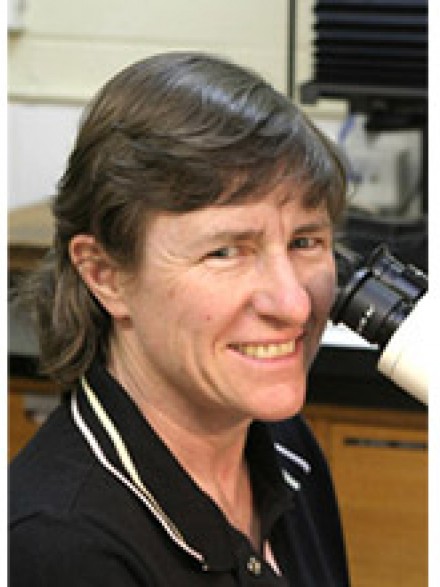 Adrienne Hardham