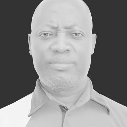 G. O. Adesina