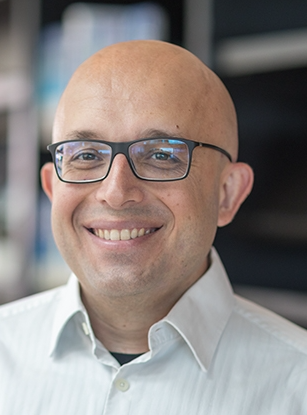 Hakan Bagci