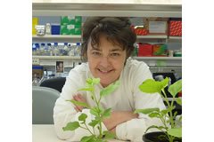 Colleen M Higgins