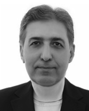 Mohammad Taghi Ameli