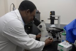 Alfred N. Fonteh