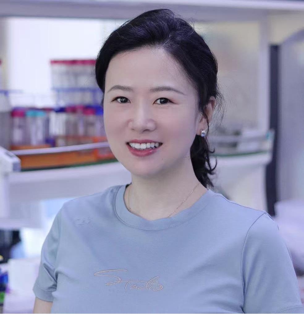Qi Zhang