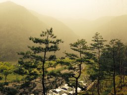 Hai-Chon Lee