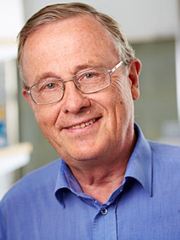 Staffan Normark
