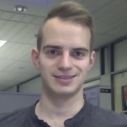 d schauries