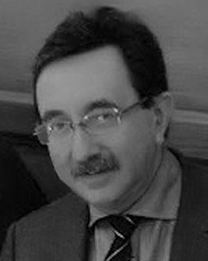 Ivan A. Galkin