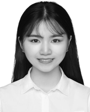 Qinying Liu