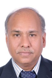 Mir Ali Naqi Razvi