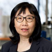 Hui Long