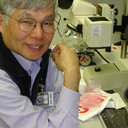 I-Ming Chou
