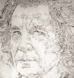 M. Fernandez-Guasti