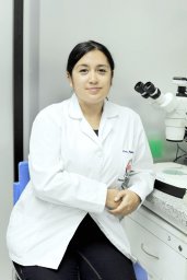 Rodas Paula I
