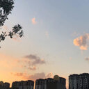 Xinhang Wang