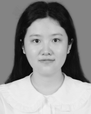 Liu Wen