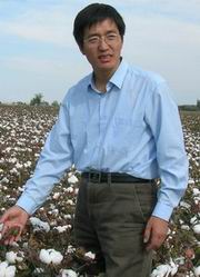 Wangfeng Zhang