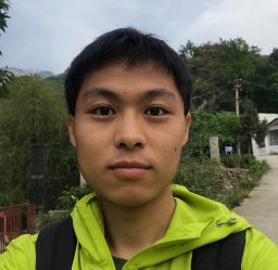 Luo Chen