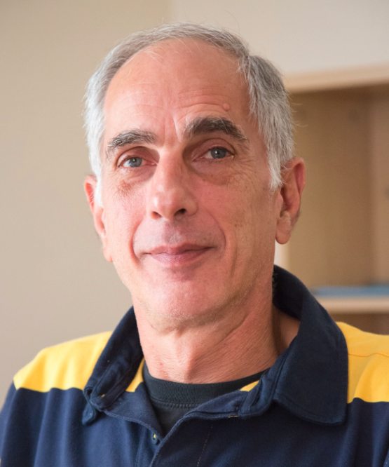 Nikolaos Tsamis