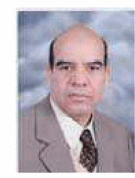 Sami A. El-Dolil