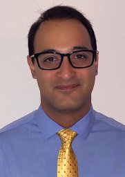 Honarmand Amir R