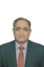 Ramesh R. Bhonde