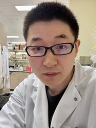 Dong Wang