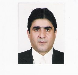 Saeid R Doustjalali