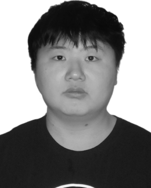 Liyan Sun
