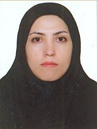 Z. Oraghi Ardebili