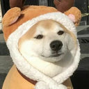 Yingze Xu