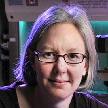 Stephanie J. Bryant