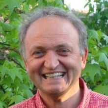 Rainer Helmig