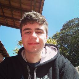 Ariel Góes De Castro