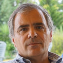 Luis P. Andrade