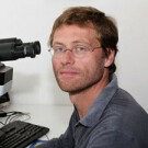 Christoph Loddenkemper