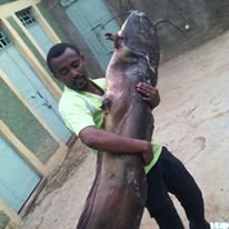 Tsegay Teame
