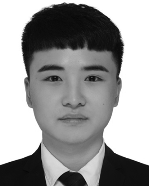 Yuan Wei