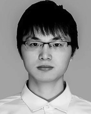 Qiang Wang