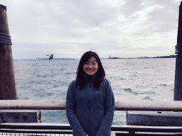 Wang Lin
