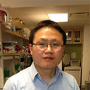 Jianye Zhang