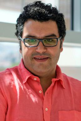 Rui M. Costa