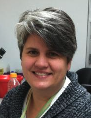 Jennifer L Morrell-Falvey