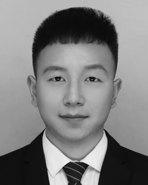 Wenjie Ai
