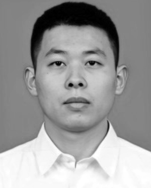Qiang Feng