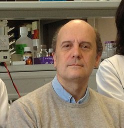 Piero Crespo
