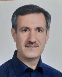 Mehdi Gholipour