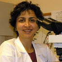 Farnaz Hasteh
