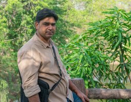 Avadhesh Kumar Yadav