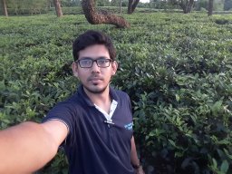 Wasim Arif