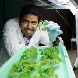 Suresh Damodaran
